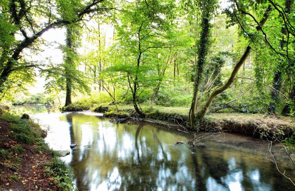 Wiesen und Bachlauf im Angertal bei Heiligenhaus