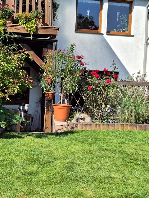 Der Garten hinter dem Haus
